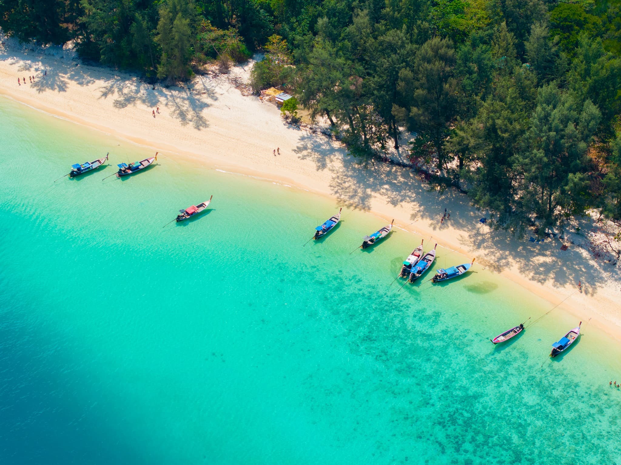 4 Islands Private Charter